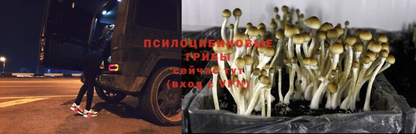 ALPHA-PVP Шали