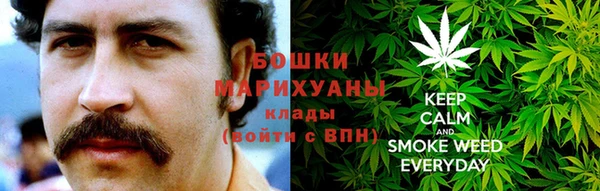 крисы Шарыпово