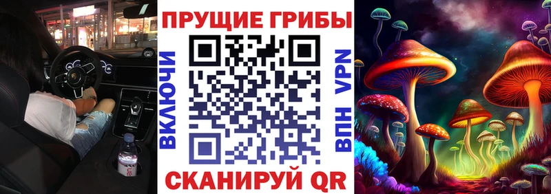 Псилоцибиновые грибы Cubensis Дыгулыбгей